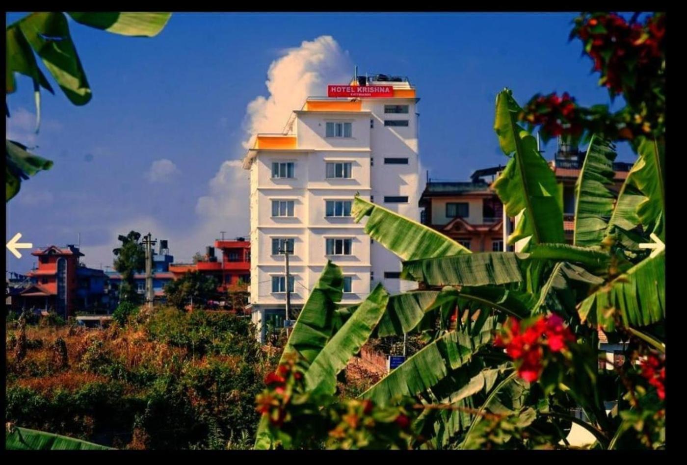 Hotel Krishna Катманду Экстерьер фото